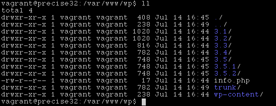 vagrant